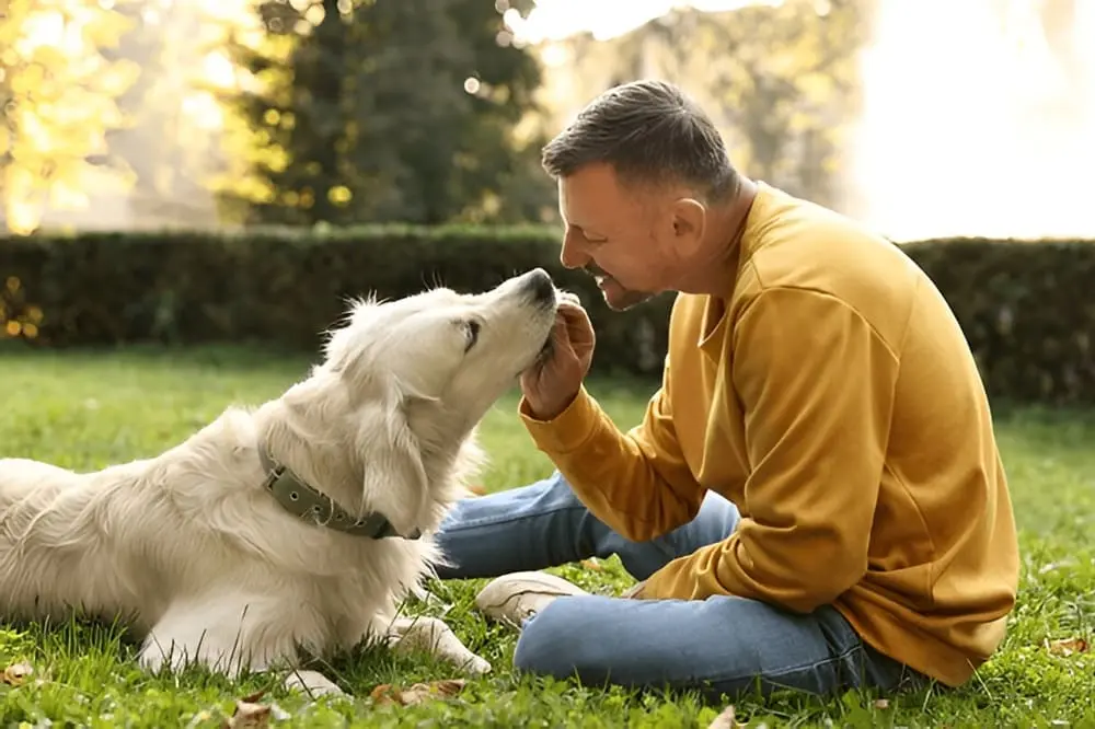 Les chiens augmentent-ils vraiment votre taux de Match